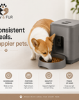 Paw & Fur SmartFeast™