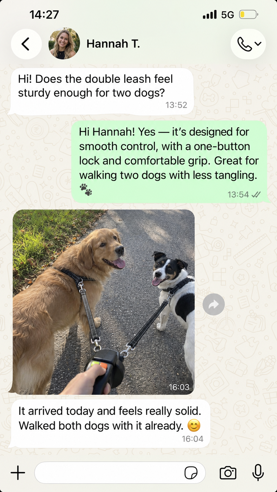 Pet parent walking two dogs with a double-ended leash