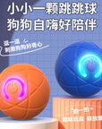 Paw & Fur™ Smart Rolling Ball
