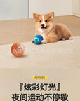 Paw & Fur™ Smart Rolling Ball