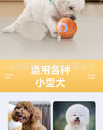 Paw & Fur™ Smart Rolling Ball