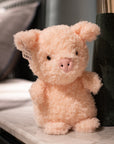 Cuddly Bunny Plush Toy