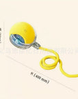 Paw & Fur™ Smart Rolling Ball