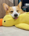 Stomping Duck Dog Toy