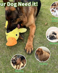 Plush Duck Dog Toy