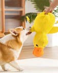 Plush Duck Dog Toy