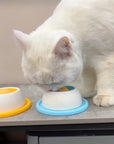 Slow Feeder Lick Mat