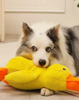Stomping Duck Dog Toy