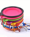 Foldable Travel Bowl for Dogs