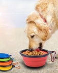 Foldable Travel Bowl for Dogs