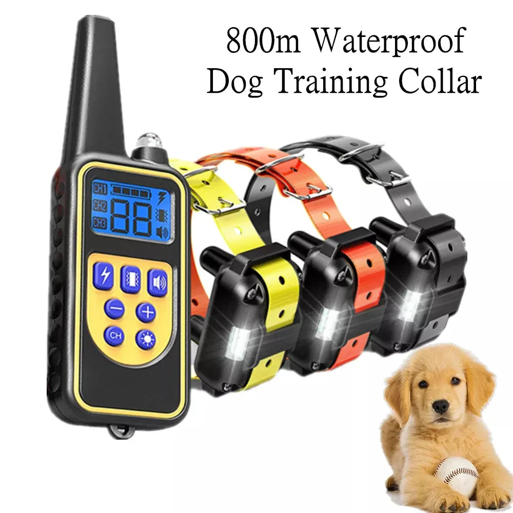 Dog Essentials
