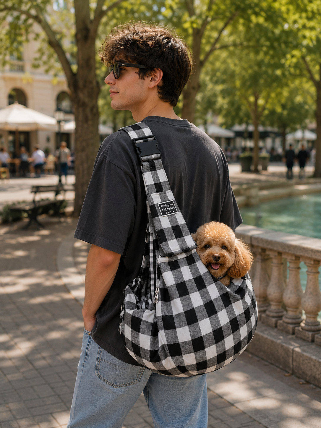Foldable Pet Carrier Backpack