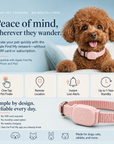 Remote Pet GPS Tracker Waterproof Real-Time Tracking Movement Alert Collar Anti-Lost Dog Cat Global Locator for Apple Find APP