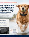 Remote Pet GPS Tracker Waterproof Real-Time Tracking Movement Alert Collar Anti-Lost Dog Cat Global Locator for Apple Find APP