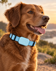 Paw & Fur Smart Pet Tracker