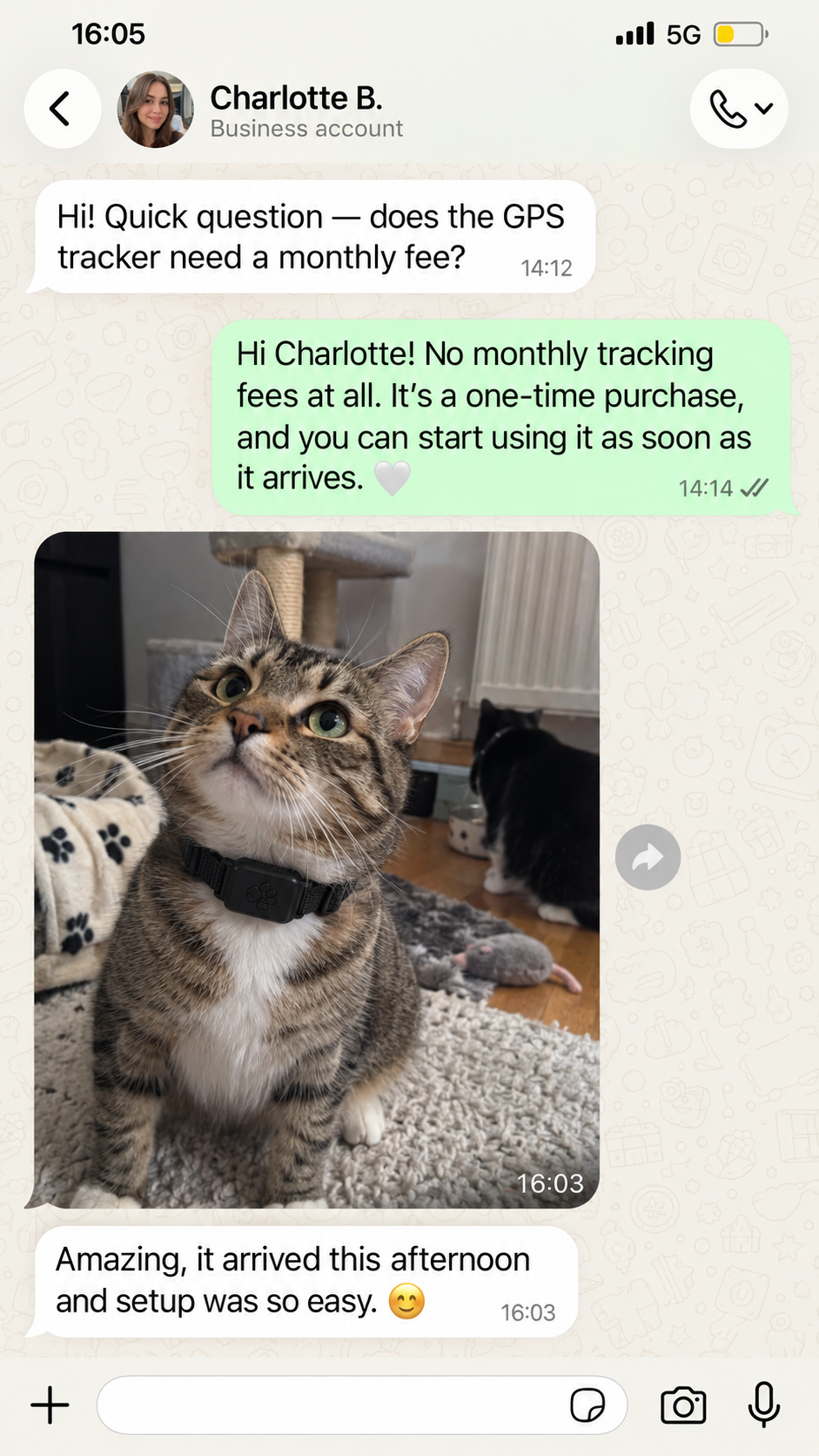 Customer asking about Paw & Fur GPS monthly fees and sharing setup feedback