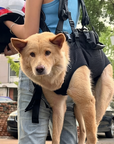 Breathable Dog Travel Carrier