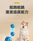 Paw & Fur™ Smart Rolling Ball