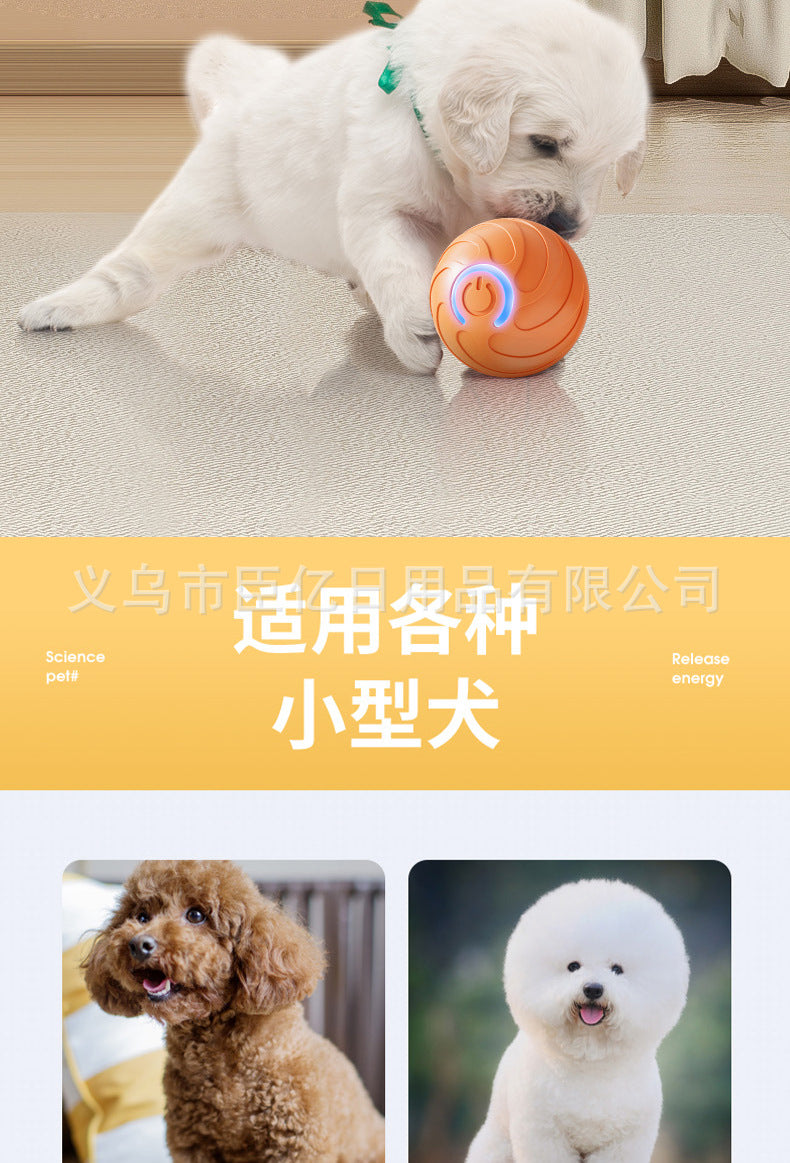 Paw &amp; Fur™ Smart Rolling Ball