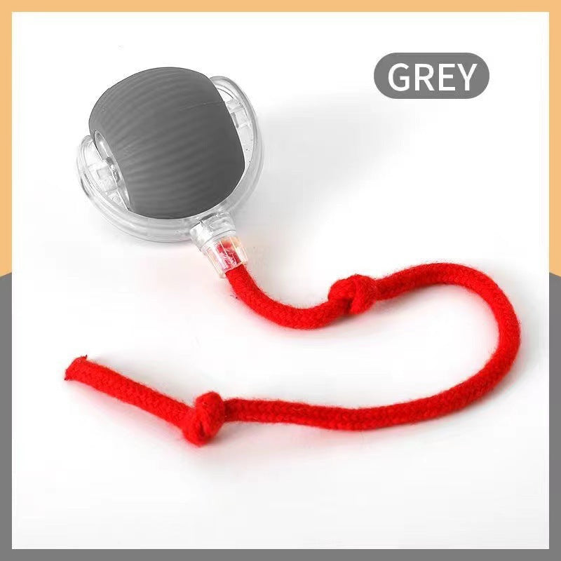 Paw &amp; Fur™ Smart Rolling Ball