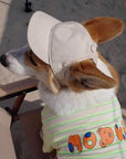 Foldable Pet Carrier Backpack