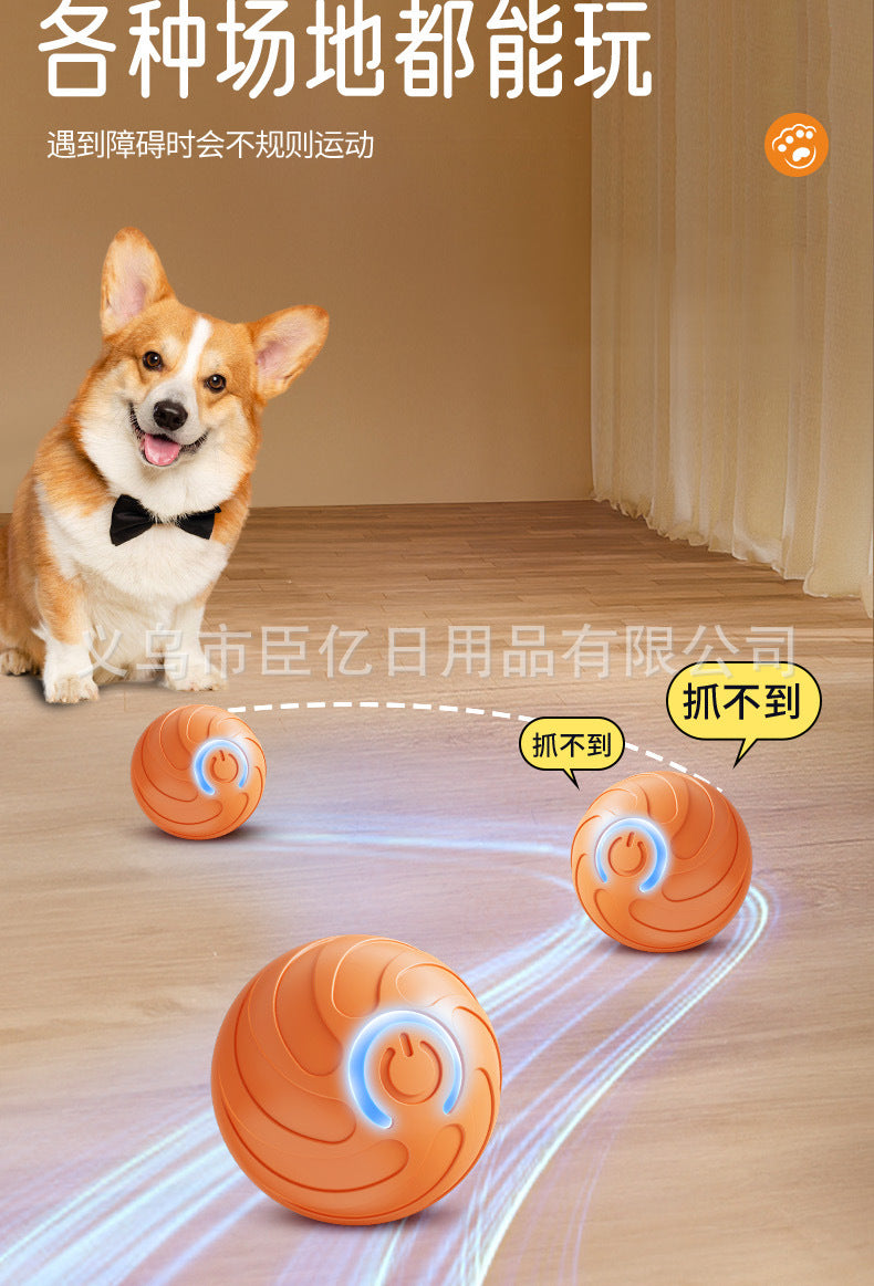 Paw &amp; Fur™ Smart Rolling Ball
