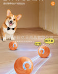 Paw & Fur™ Smart Rolling Ball