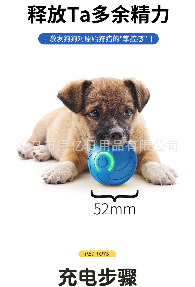 Paw &amp; Fur™ Smart Rolling Ball