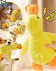 Plush Duck Dog Toy