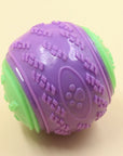 Squeaky TPR Chew Ball