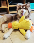 Stomping Duck Dog Toy