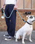 Reflective Heavy-Duty Dog Leash
