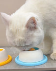 Slow Feeder Lick Mat