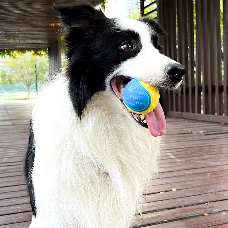 Squeaky TPR Chew Ball