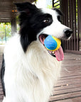 Squeaky TPR Chew Ball