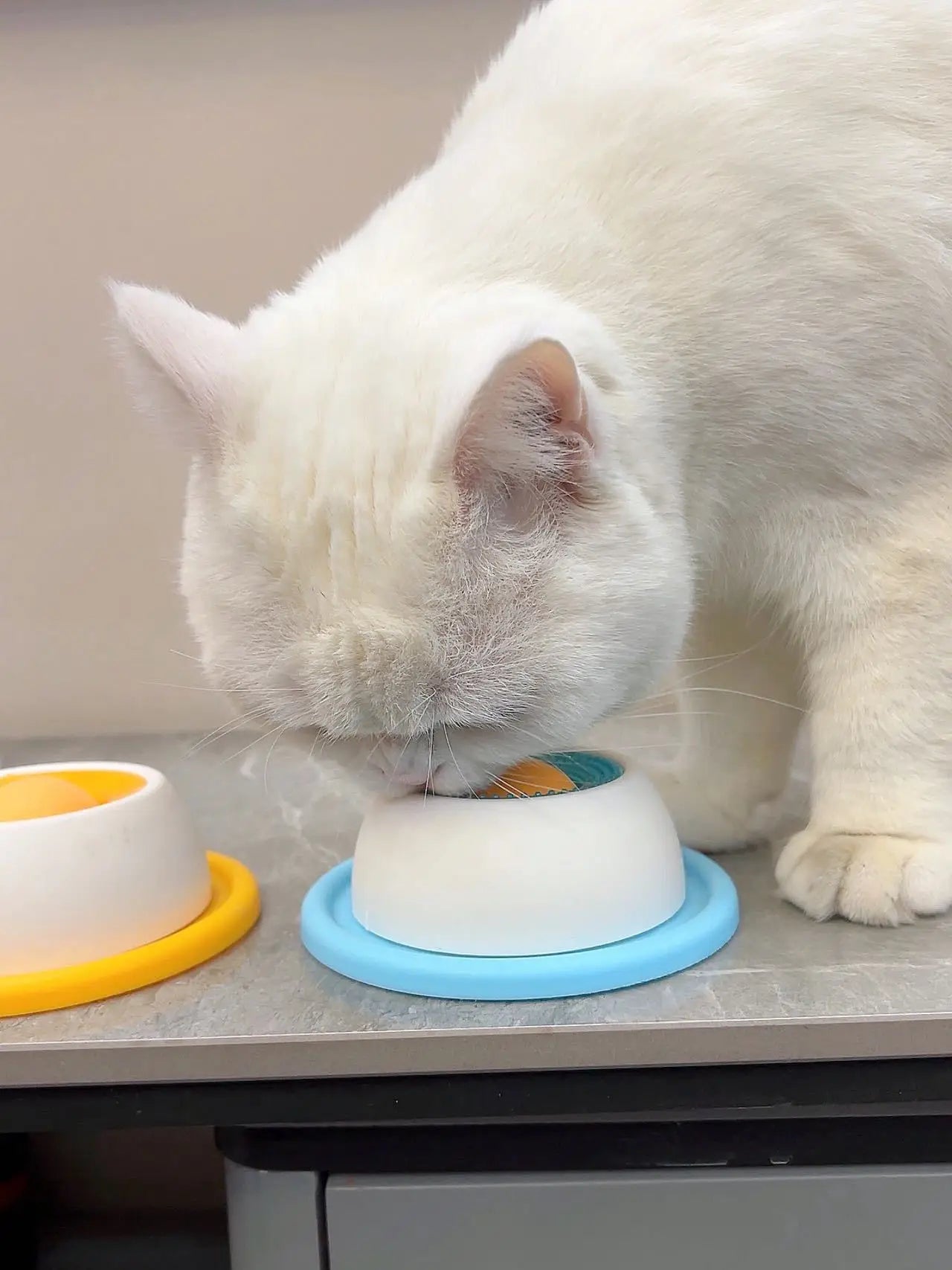 Slow Feeder Lick Mat