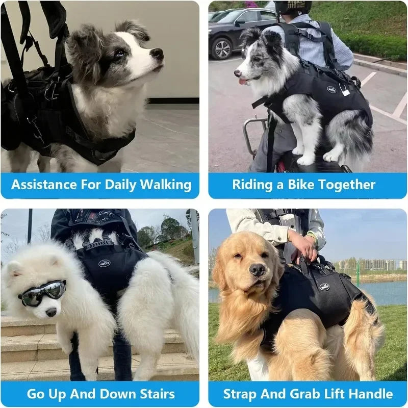 Breathable Dog Travel Carrier
