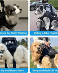 Breathable Dog Travel Carrier