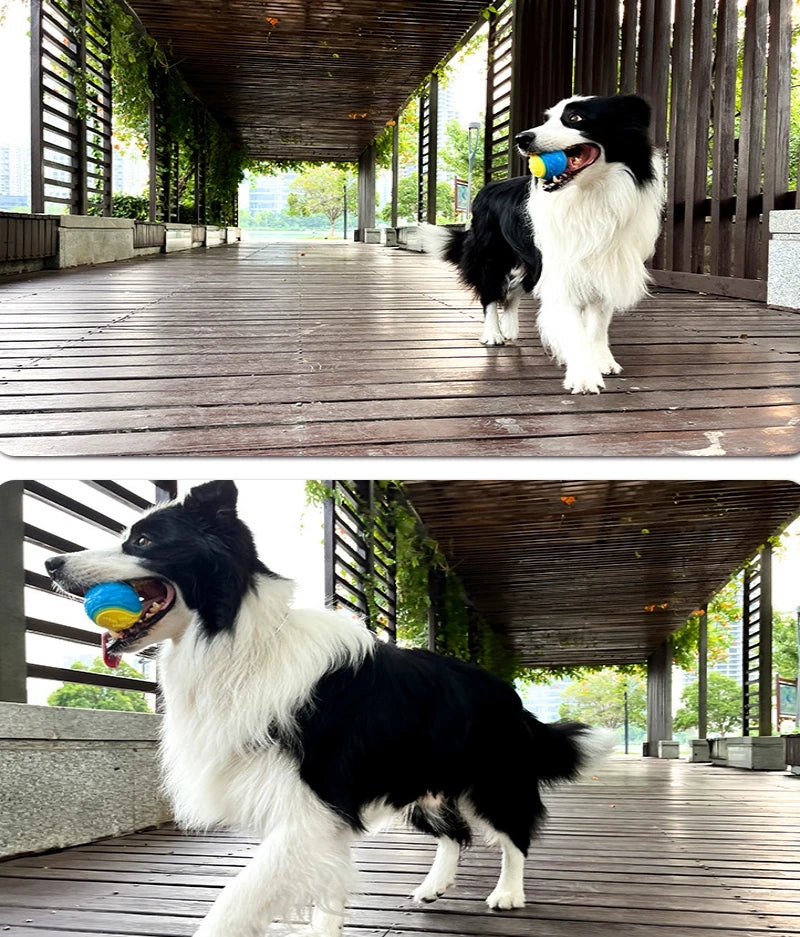 Squeaky TPR Chew Ball
