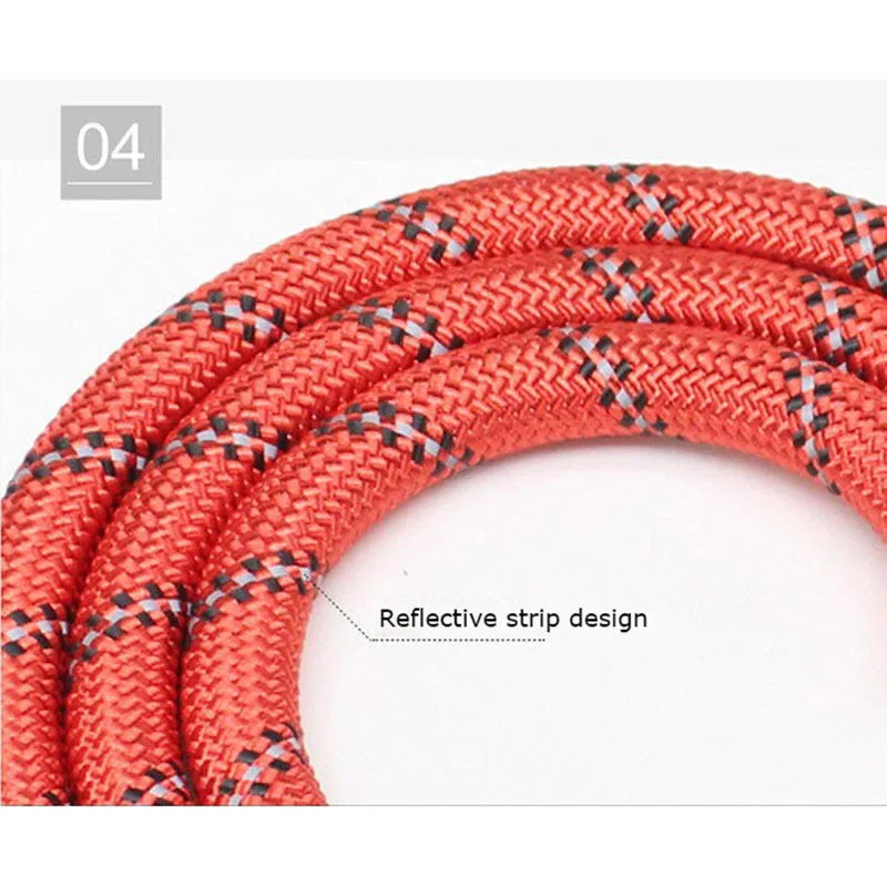 Reflective Heavy-Duty Dog Leash