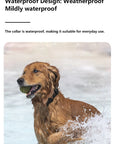 Waterproof Pet GPS Tracker