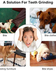 Treat-Dispensing Dog Toy Ball